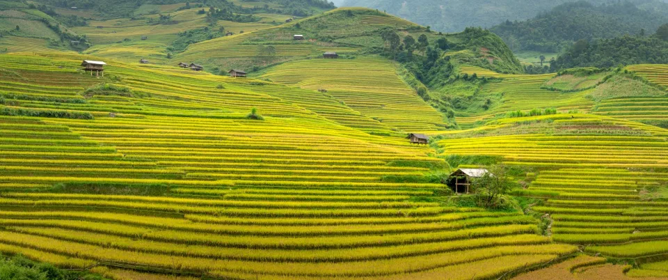 Kho gạo của Nguyễn Thị Kim Huệ 1